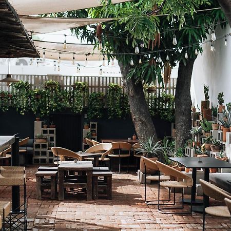 Drift San Jose Del Cabo, A Member Of Design Hotels Dış mekan fotoğraf