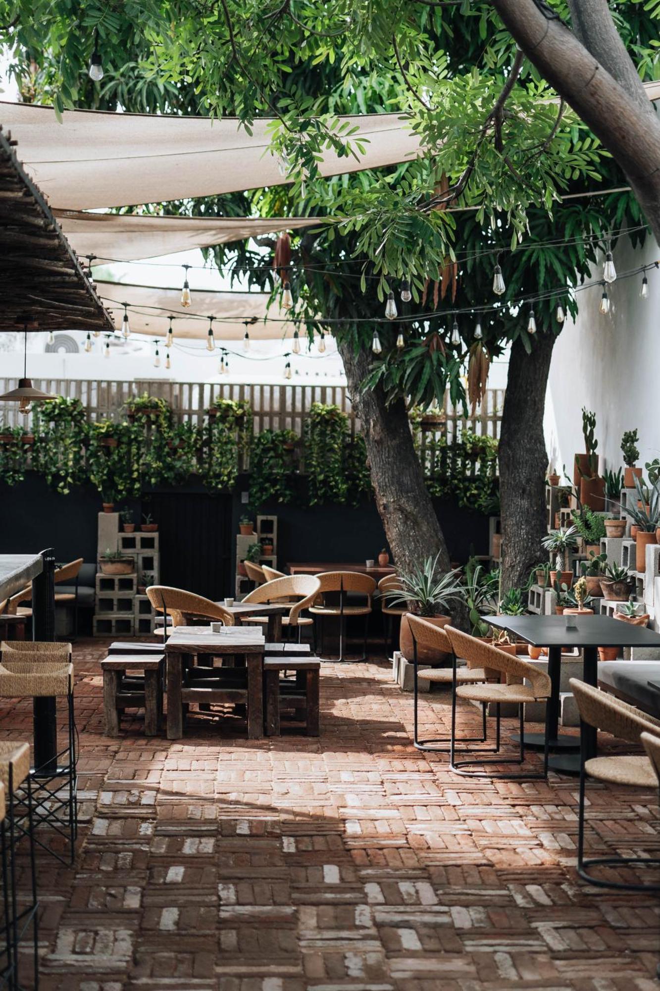 Drift San Jose Del Cabo, A Member Of Design Hotels Dış mekan fotoğraf